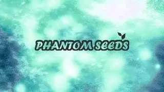 Phantom Seeds - "Magical Tree"