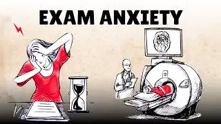 Exam Anxiety: The Science of Learning and Fear