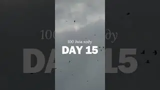 Day 15 | 100 #100daysofcode #programming #swift #ios