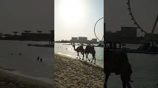 Дубай! пляж JBR