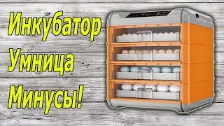 Инкубатор Умница - минусы