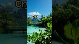 Bora Bora Bliss #shorts #luxury #youtubeshorts