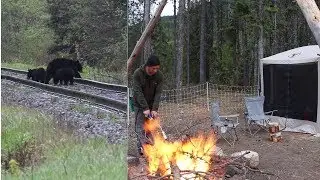 Mountain Camping With Wife - 12 Bears in One Afternoon!
