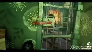 Крем Кетонал с собой взяла...