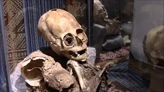 Small Ancient Mummy In Peru