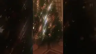 Мне б такую!🤣😂