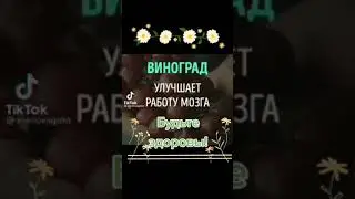 11 продуктов которые лечат тело и разум.