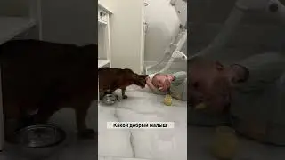 13 ноября 2023 г.