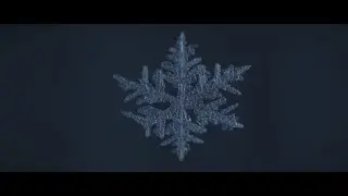 Павел Пламенев и Raindigo - Товарищи