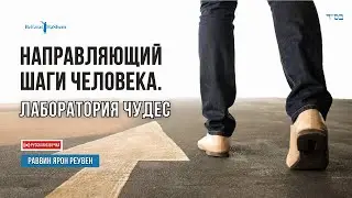 Направляющий шаги человека 🧪 Лаборатория Чудес. Смысл жизни #тора #иудаизм
