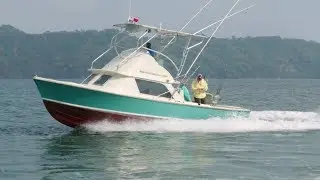 Water Is Thicker Than Blood: Pinas Bay, Panama