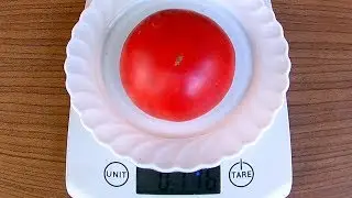 Brandywine Pink. Tomato - Brandywine Pink.