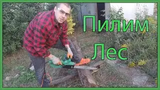 ПИЛИМ ЛЕС, ЗАЧИСТКА КУСТАРНИКА, ТРУХЛЯВЫЕ БРЕВНА