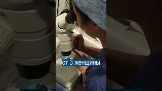 Родитель №3: Родился ребёнок ОТ ТРЕХ РОДИТЕЛЕЙ