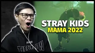 DAMNNN | Stray Kids MAMA 2022 Day 1 Performance Reaction