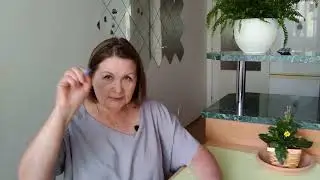 Чешский язык и адаптация в обществе.