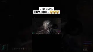 Испугался Химеры #shorts #shortvideo #сталкер #stalker #тч #чн #зп #химера #испуг #сталкерприкол