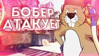 БОБЁР АТАКУЕТ КАЛАШЕЙ В CSGO/ПУТЬ ДО ГЛОБАЛА С DLC