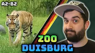 Learn German at Zoo Duisburg – Animal Vlog & Vocabulary Practice (A2–B2)