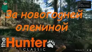 theHunter Clssic. Охота на оленей и черных медведей.