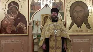 Явление Иисуса ученикам Своим при море Тивериадском. Чудесный улов. Проповедь о. Димитрия 16.11.24