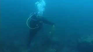 О. Верховского
