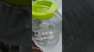 Как хранить живца
