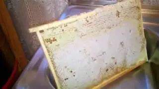 2018 качаю майский мед в июле по евростандарту