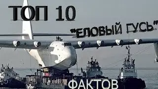 ТОП 10 ФАКТОВ, 