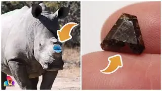 7 Materiales Súper Costosos Que No Creerás Que Existen 🤑
