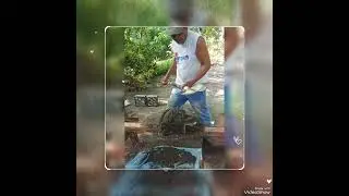 Decorative Moulder
