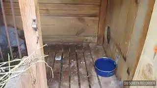 Золотое Серебро