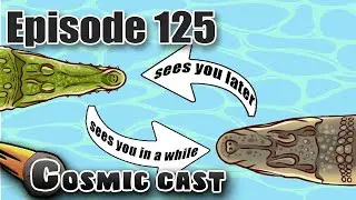 Alligators Should Be Called Crocodiles (and vice versa) - Cosmic Cast 