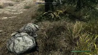 Skyrim после секса