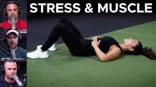 The Effect of Stress on Muscle Gains and Strength