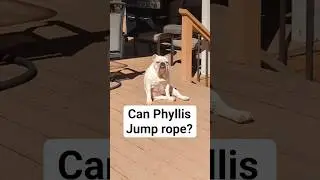 Can A Bulldog Jump Rope? 