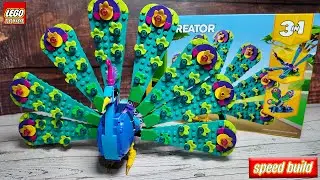 LEGO Creator 3 in 1 Peacock 31157 Speed Build