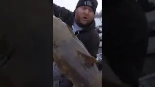 That is NOT a Walleye!! #fishing #walleye #catfish