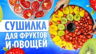 Идеальная сушилка для фруктов и овощей с AliExpress
