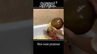 Сандро как обычно СТРАДАЕТ #shorts #мем #либис #моргенштерн