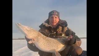 Рыбалка в январе  Щука монстр