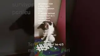 Hari ke-4 atau ke-5 melawan virus Panlea. Dirawat sendiri di rumah