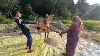क्या आपने कभी देखा हे || धान की कटाई || paddy harvesting