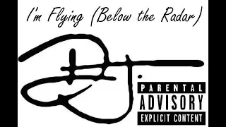I'm Flying (Below the Radar) - David James