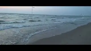 Rosolina mare