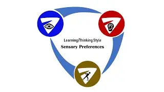 Learning Styles (Sensory Preferences)