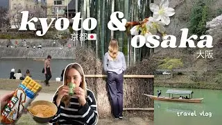 7 days in KYOTO & OKSAKA 🌸 cherry blossoms, feeding deer at Nara Park, exploring Ninenzaka ⛩️