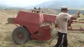 Լոռու մարզի Հագվի գյուղում այս օրերին մեծից փոքր դաշտերում են