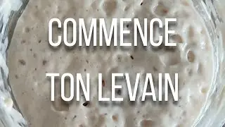 🍕 C'est la BONNE SEMAINE pour COMMENCER un LEVAIN NATUREL ☀️ 167/365