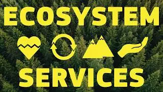 Ecosystem services and Biodiversity - Science for Environment Policy